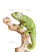 demo-attachment-1178-graceful-chameleon-PEWXWX6-2